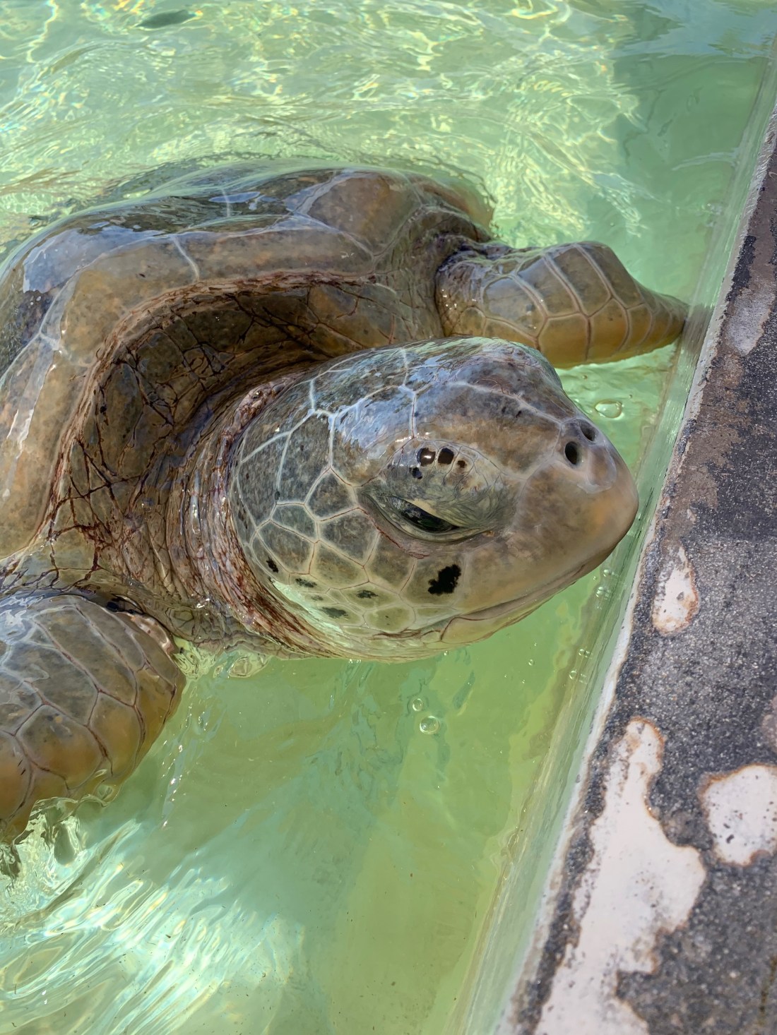 E6021590-3059-481F-8629-A0293100B391