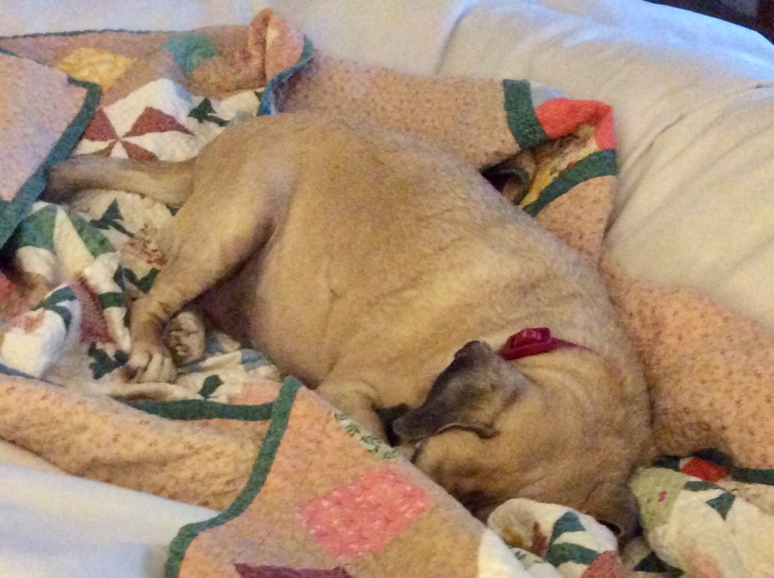 CA2D83A3-47EB-4FC1-B08A-ABB6F89CE2D6