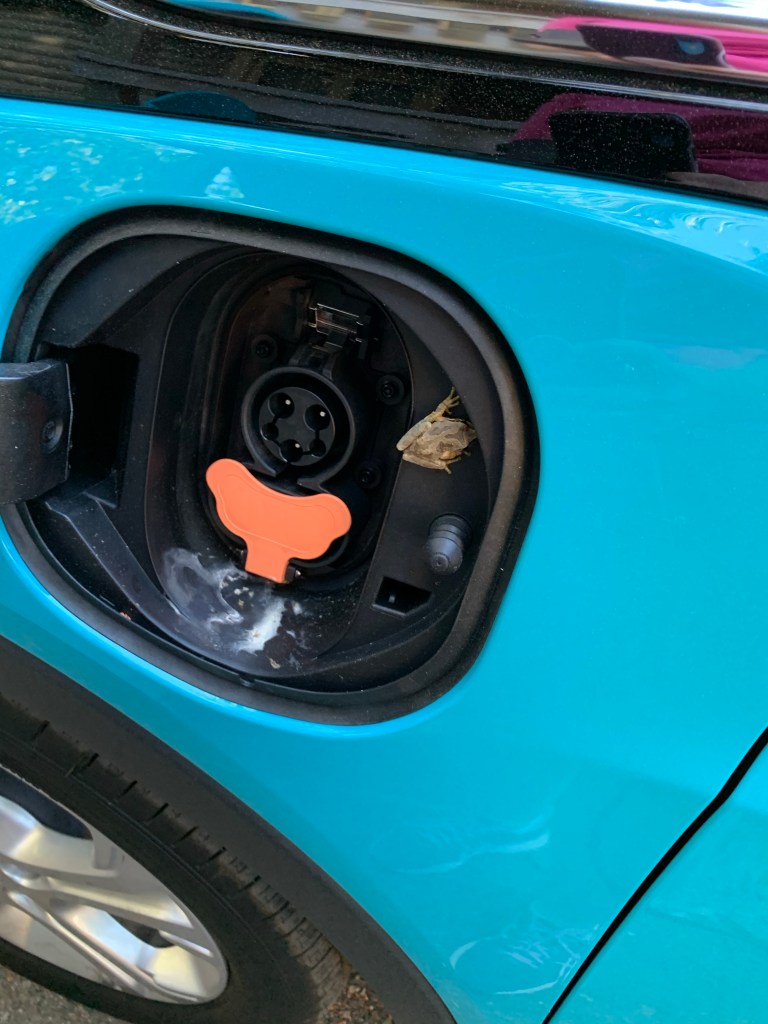 EV charging port with frog and bird poop