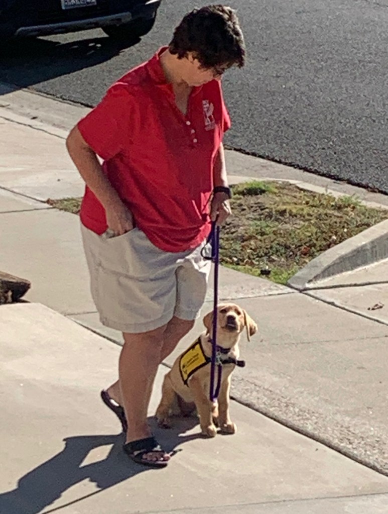 Beloved and dog walking outside