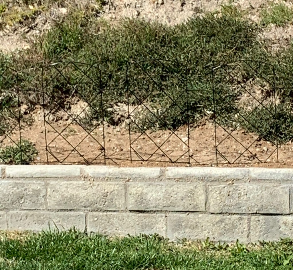 Thin wire fence on top of a low brick wall