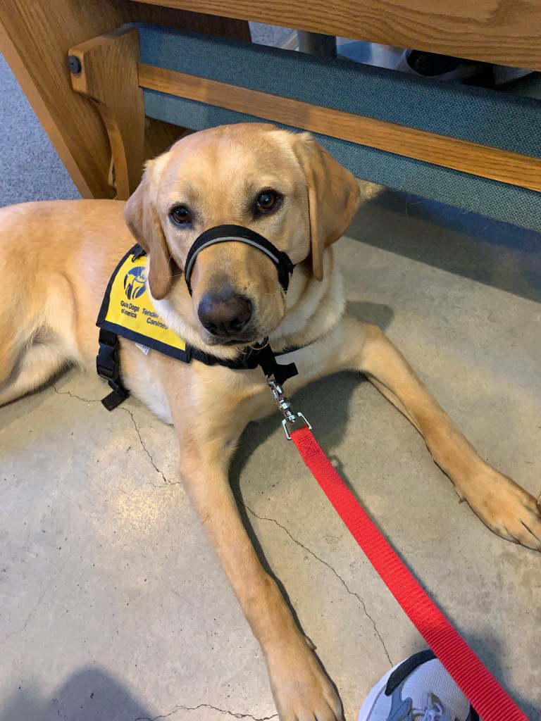 Miss M sitting half on the cement, half on the carpet