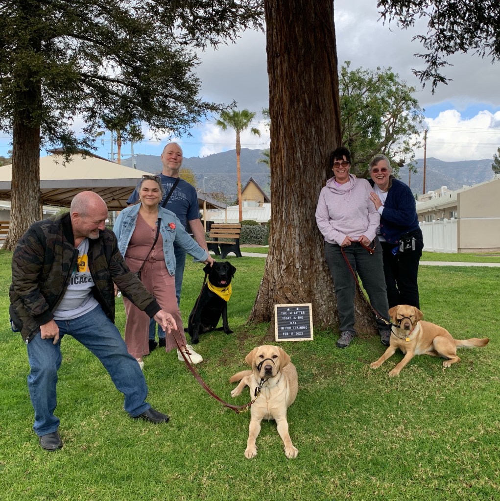 Three dogs sitting under a tree at the GDA facility with their puppy raisers.
