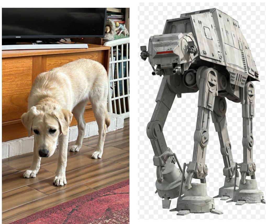 Dog with outlandishly long legs next to a picture of an AT-AT Transporter.