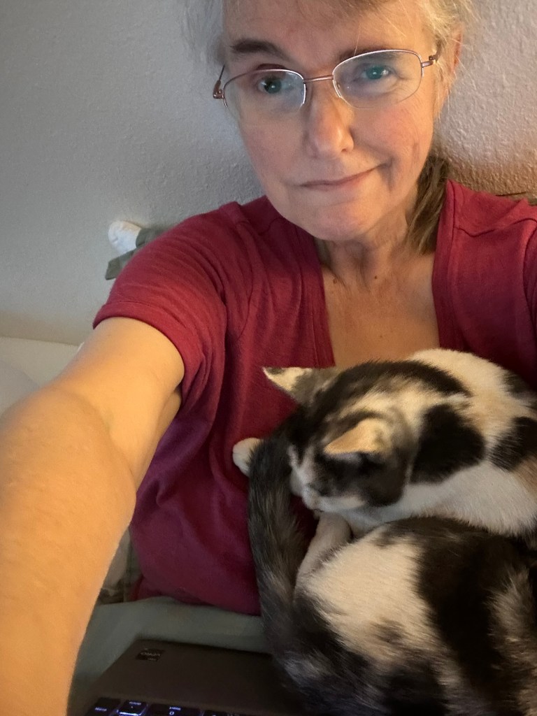 Cat sitting on my chest, backside leaning against my computer as I’m sitting up in bed. 