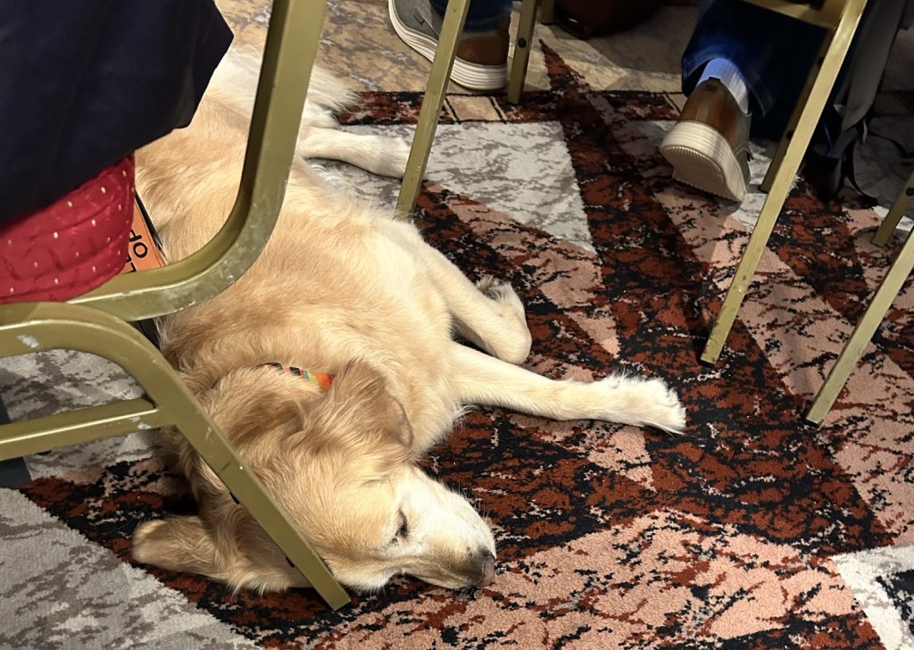 Jennie the golden lying between chairs in the path of anyone trying to get to their table in the crowded room. The tables were circular with ten people around them at each and precious little room to scoot through.