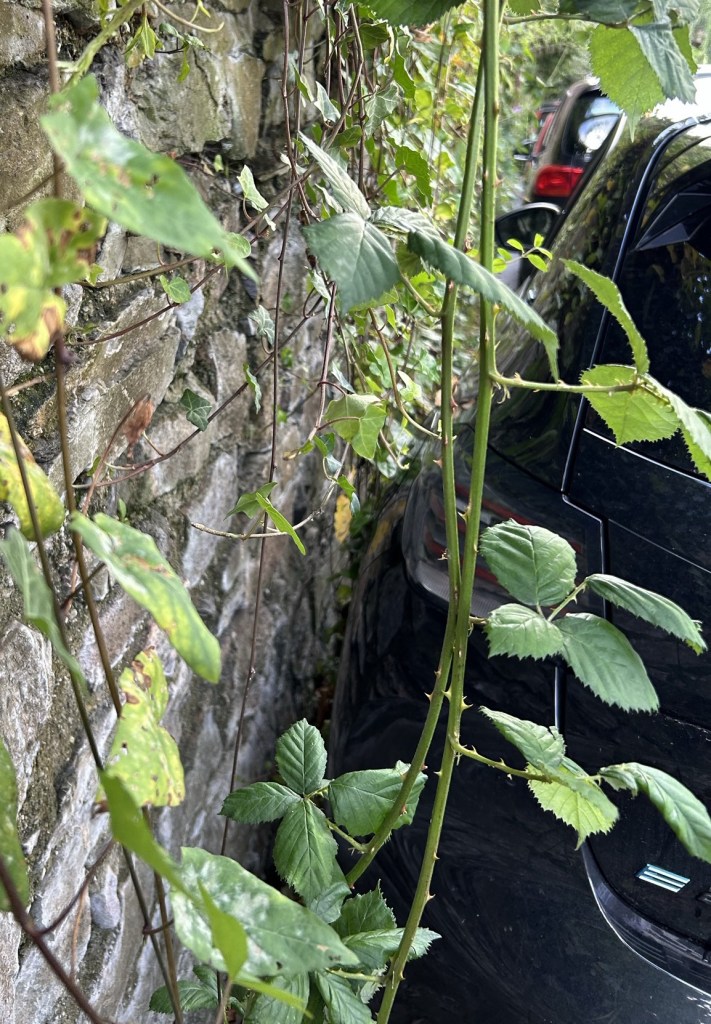Car parked within millimeters of a stone wall.