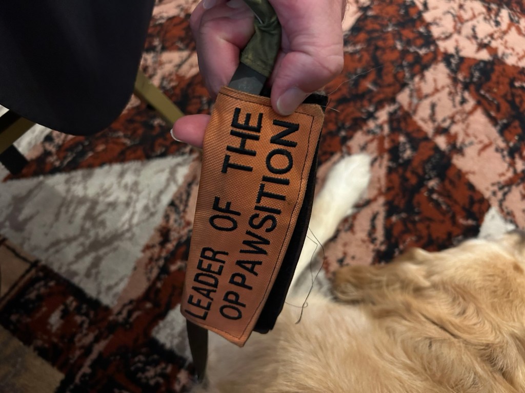 Jennie’s leash has a wrap on it that reads “Leader of the Op-paw-sition”. The Liberal Dems do NOT hold a majority in Parliament.